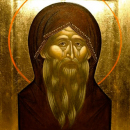 Ор Фиваидский пустынник