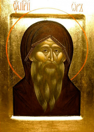 Ор Фиваидский пустынник
