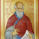 Антоний Сийский