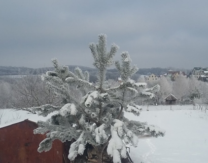 Церква Святих Володимира та Ольги