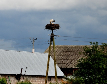 Kościół Przemienienia Pańskiego