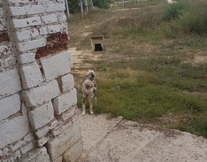 Церковь Иоанна Предтечи