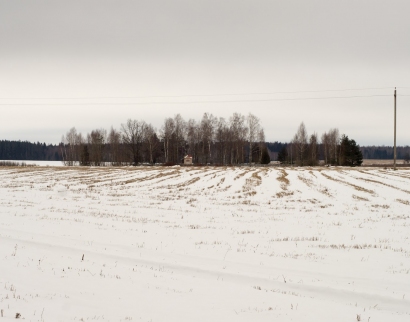 Капліца могілкавая