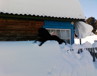 Иоанно-Предтеченская церковь