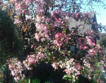 Церковь Божией Матери Одигитрии