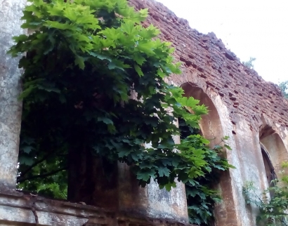 Царква Петрапаўлаўская