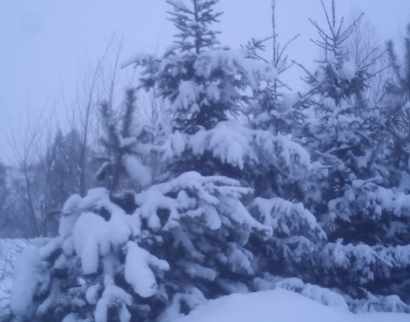 Церква Пресвятої Трійці