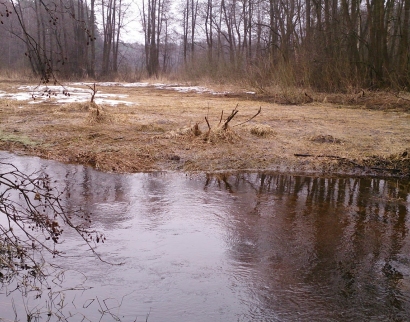колокольня храма пресвятого Дмитрия Солунскоко