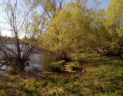 Церковь Николая Чудотворца