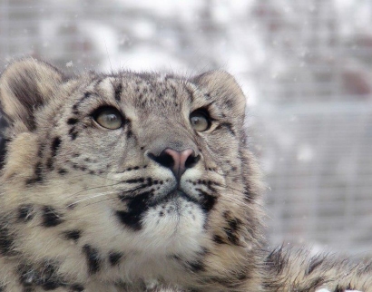 Церковь Успения Пресвятой Богородицы
