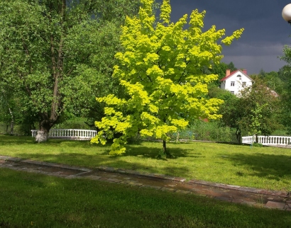 Храм Спаса Нерукотворного