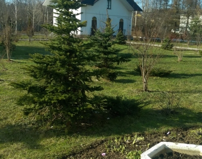 Храм Воскресения Христова в посёлке Толстопальцево