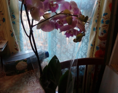 Церковь Богоявления Господня