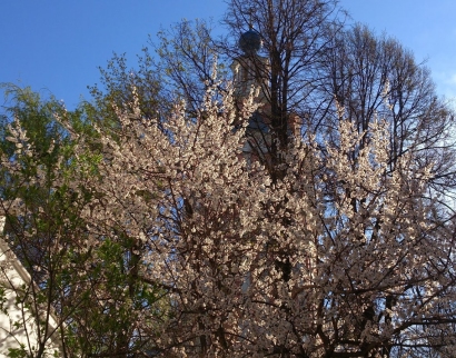 Храм Воскресения Христова в Пленницах