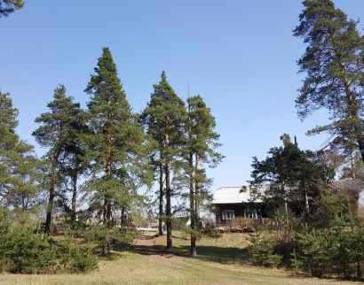 Флорищева Мужская Пустынь