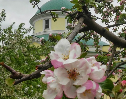 Соборный храм святой великомученицы Екатерины