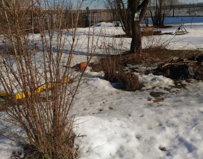 Церковь Илии Пророка