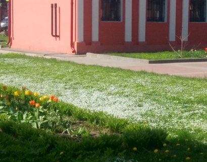 Святителя Николая Мирликийского Храм