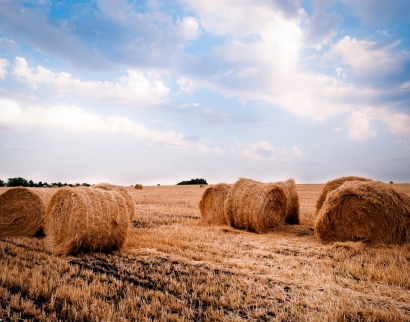 Церковь Пресвятой Троицы