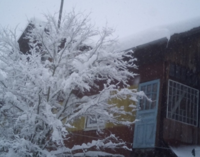 Церква Пресвятої Трійці