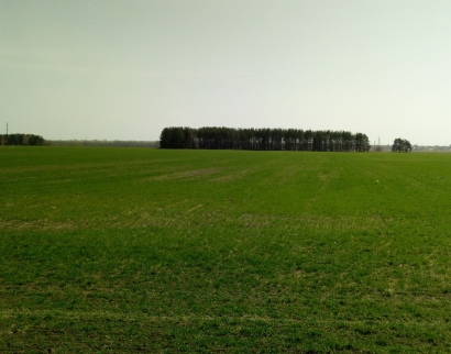 Церковь Михаила Архангела