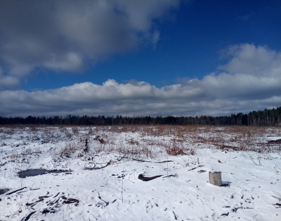 Церковь Георгия Победоносца в Монино