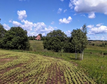 Храм Казанской иконы в Подчернево