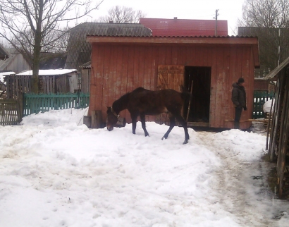 Церква Різдва Пресвятої Богородиці