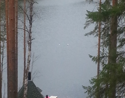 Храм Рождества Христова