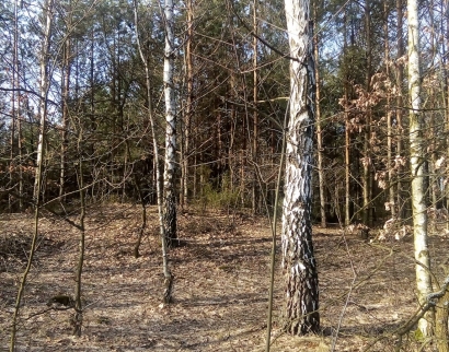 Kościół p.w. Jezusa Chrystusa Ukrzyżowanego