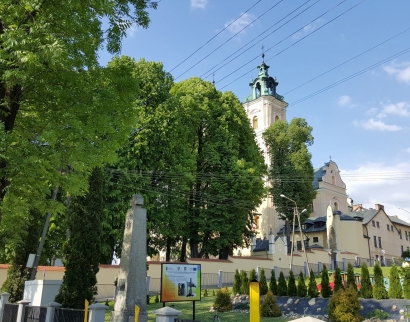 Bazylika Wniebowzięcia Najświętszej Maryi Panny w Starej Wsi