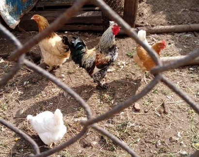 Свято Троицкий Собор