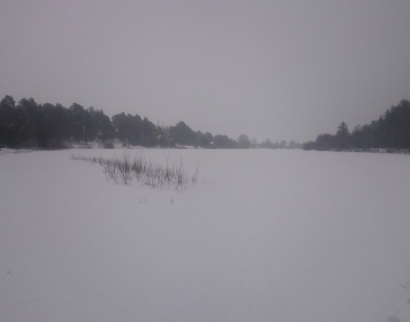 Церковь Тихвинской иконы Божией Матери