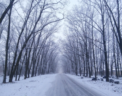 Церковь