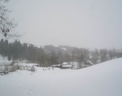 Церква Святого Пантелеймона