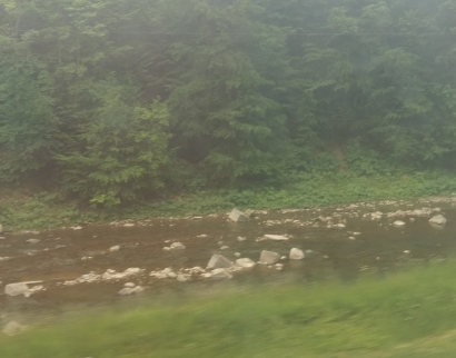 Церква Покрови Пресвятої Богородиці