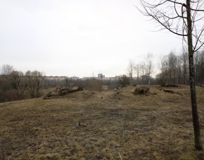 Храм святой равноапостольной Нины