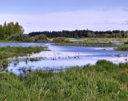 Благовещенская церковь