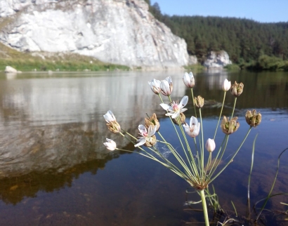Церковь Казанской Иконы Божией Матери