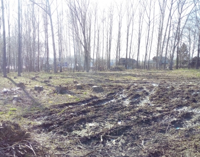 Покровская церковь