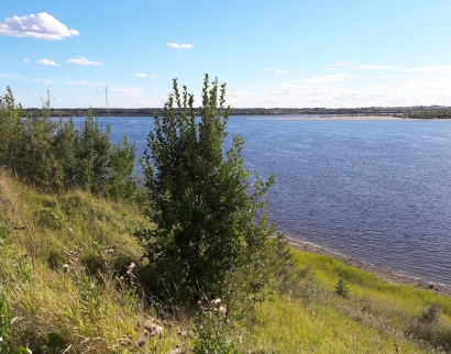 Церковь Василия Блаженного