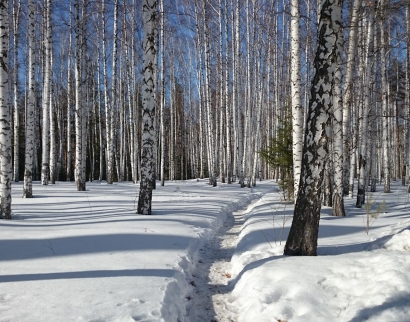 Новоуральск Храм во имя прп. Серафима Саровского