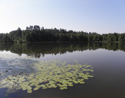Колокольня с надвратной церковью в честь Архистратига Божия Михаила