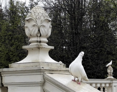 Храм Великомученика Георгия Победоносца