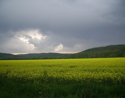 Kościół filialny pw. św. Maksymiliana Kolbe