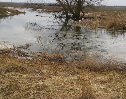 Церковь в селе Журавна