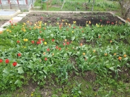 Храм Вознесения Господня В Сатино-русское