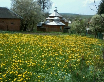 Дерев'яна церква введення у Храм Пр. Богородиці, 1772 р