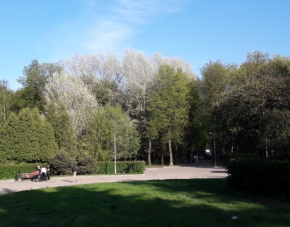 Храм в честь иконы Божией Матери "Всецарица"