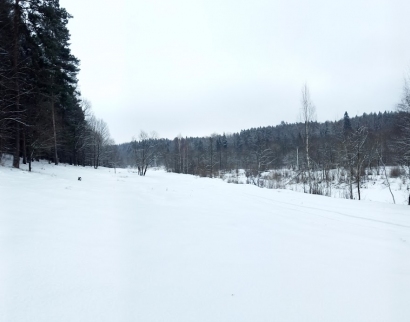 Церковь Благовещения Пресвятой Богородицы в Поливаново
